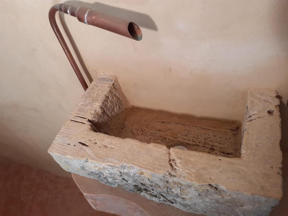 Maison Terre Les Cabanes De Fallot - Sauna Bain-Froid Piscine Naturelle L'isle-Bouzon المظهر الخارجي الصورة