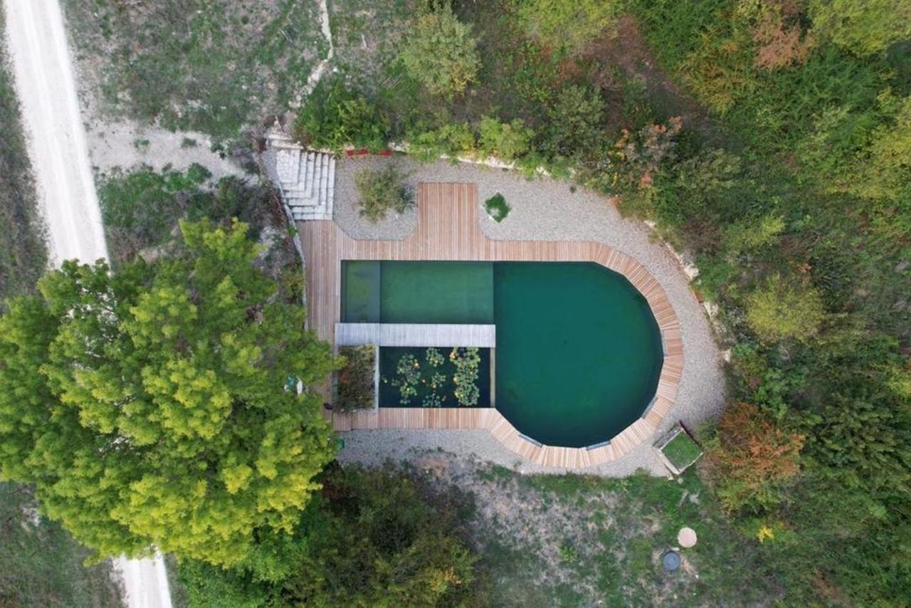 Maison Terre Les Cabanes De Fallot - Sauna Bain-Froid Piscine Naturelle L'isle-Bouzon المظهر الخارجي الصورة