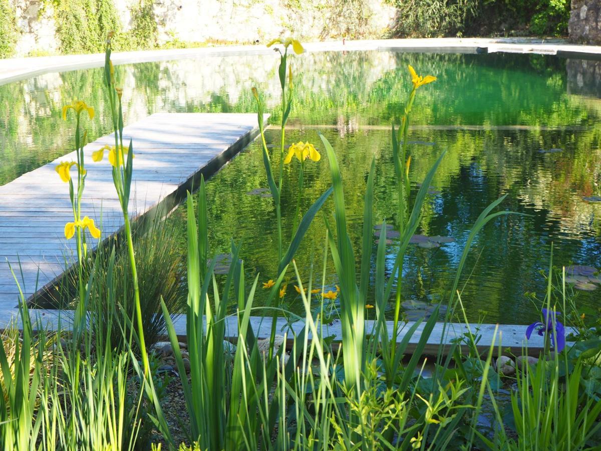 Maison Terre Les Cabanes De Fallot - Sauna Bain-Froid Piscine Naturelle L'isle-Bouzon المظهر الخارجي الصورة