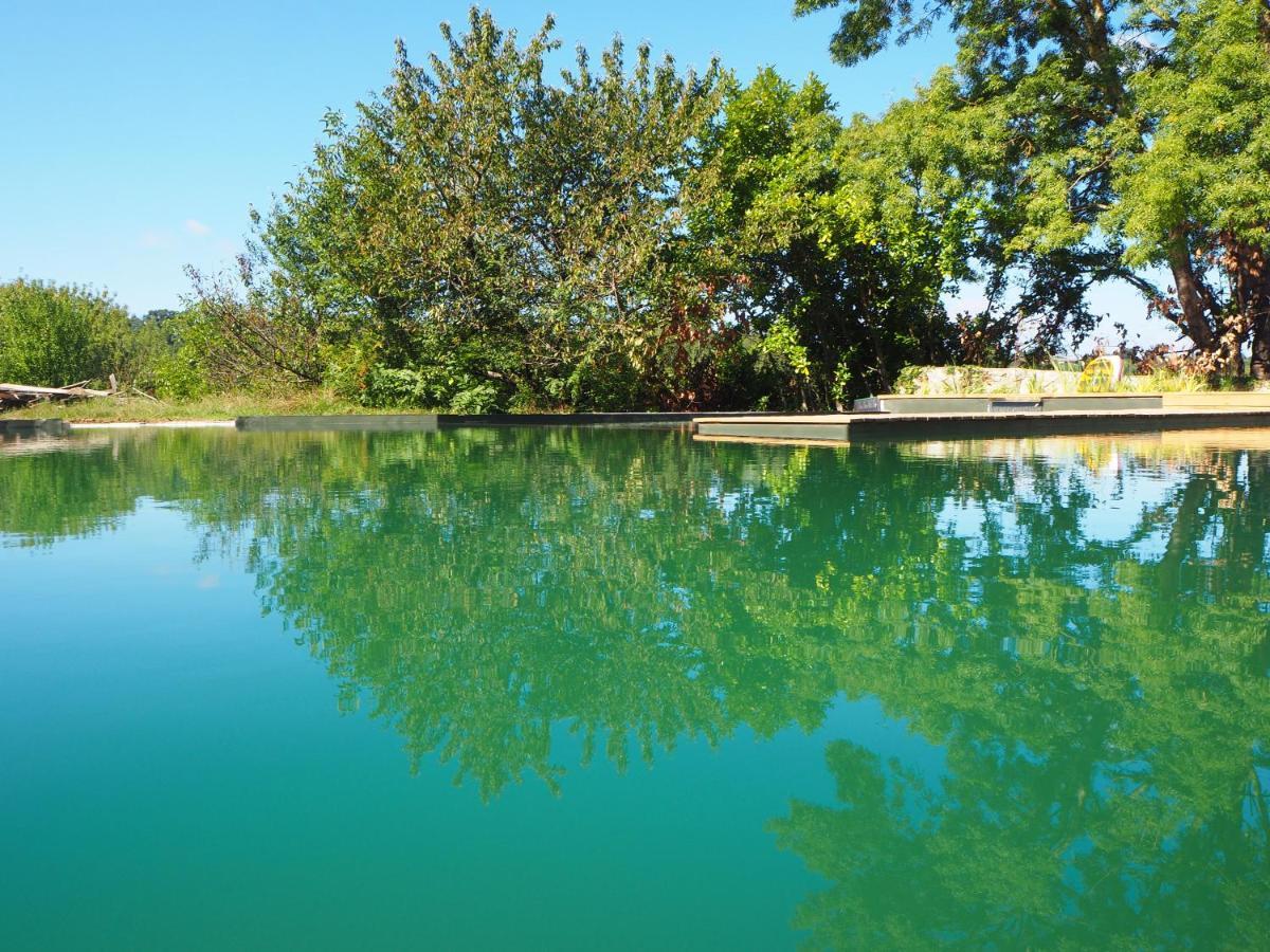 Maison Terre Les Cabanes De Fallot - Sauna Bain-Froid Piscine Naturelle L'isle-Bouzon المظهر الخارجي الصورة